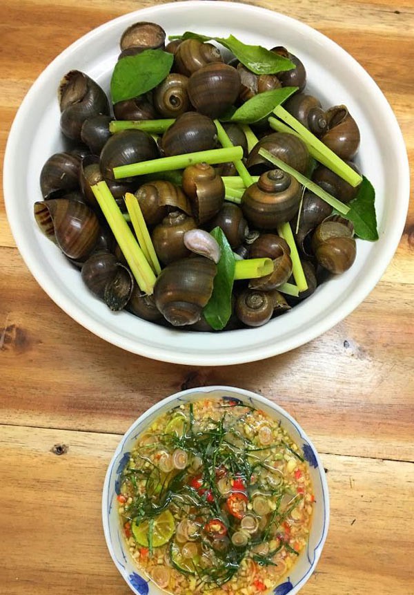 Hướng dẫn cách luộc ốc ngon tại nhà