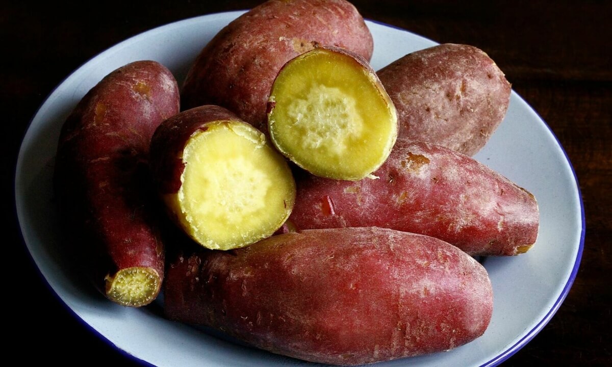 luộc khoai lang bao lâu (1)